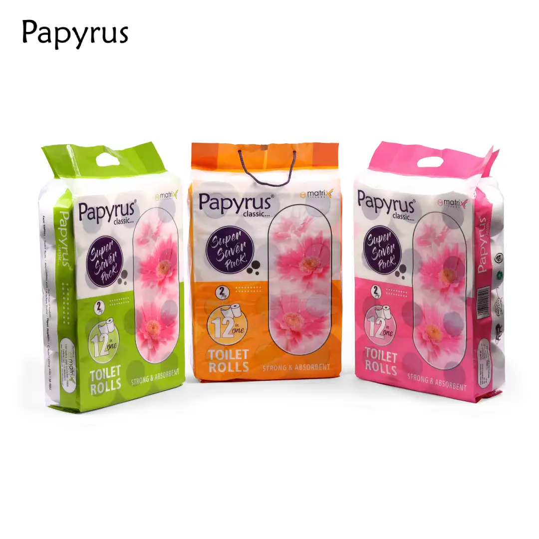 Toilet Roll Classic Set 12x1 (2 Ply)